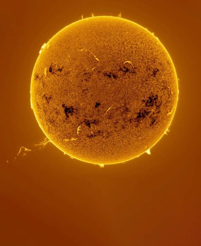 The detection of Rossby-like waves on the Sun