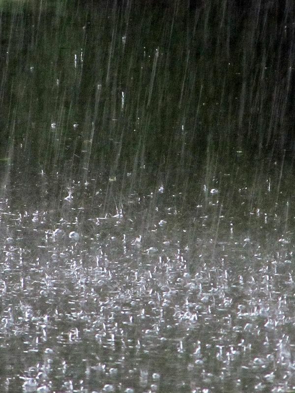 Improved ‘Terminator’ sun model could change space weather forecasting